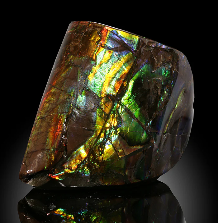 3" Ammolite Fossil, Canada - Image 3